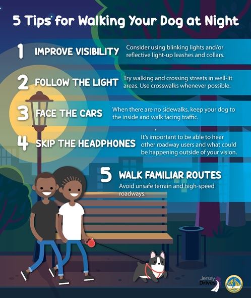 Safety tips for walking your dog in the evening