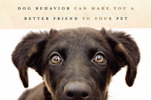 Scientific explanation of dog behavior