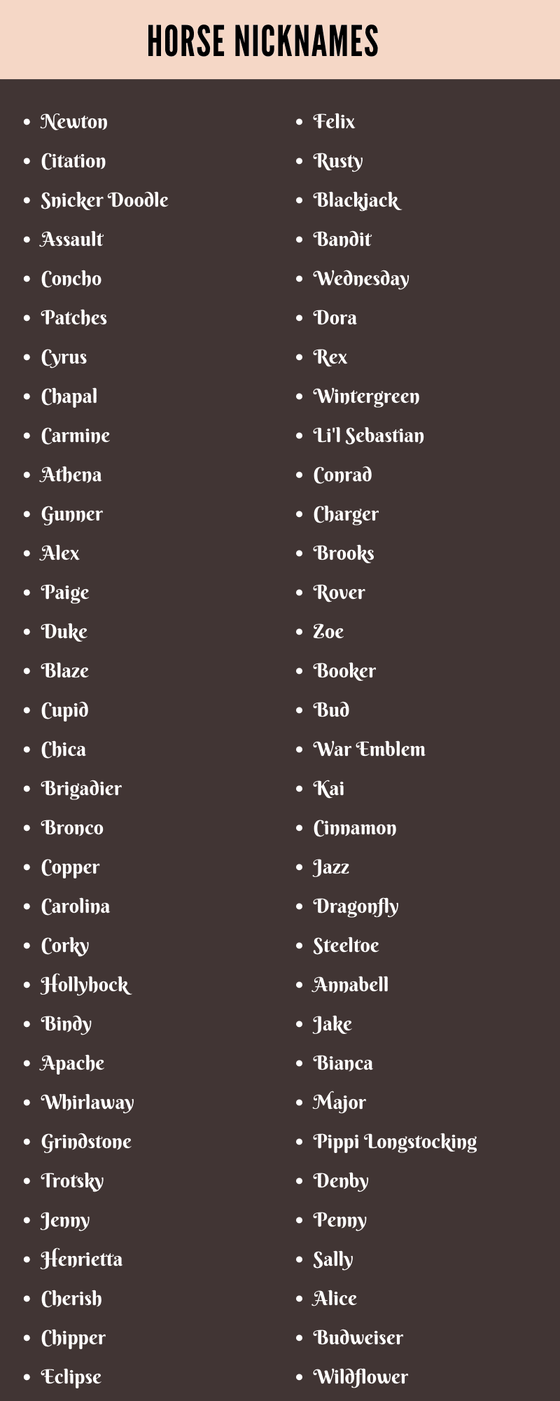 Hobuste hüüdnimede valik erinevate parameetrite järgi ja keelatud hüüdnimede loetelu