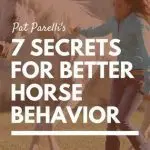 Seven secrets of horse care