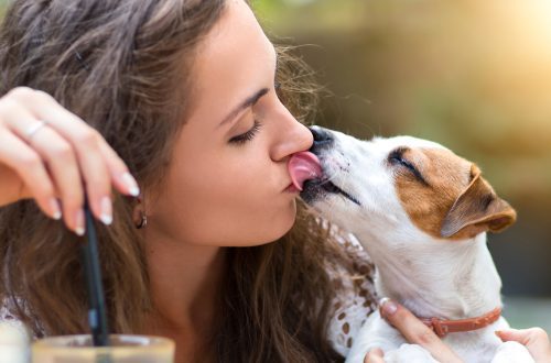 Should you kiss a dog?