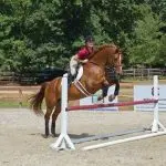 Show me how you walk and I’ll tell you what kind of rider you are!