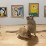 Showcases for rodents