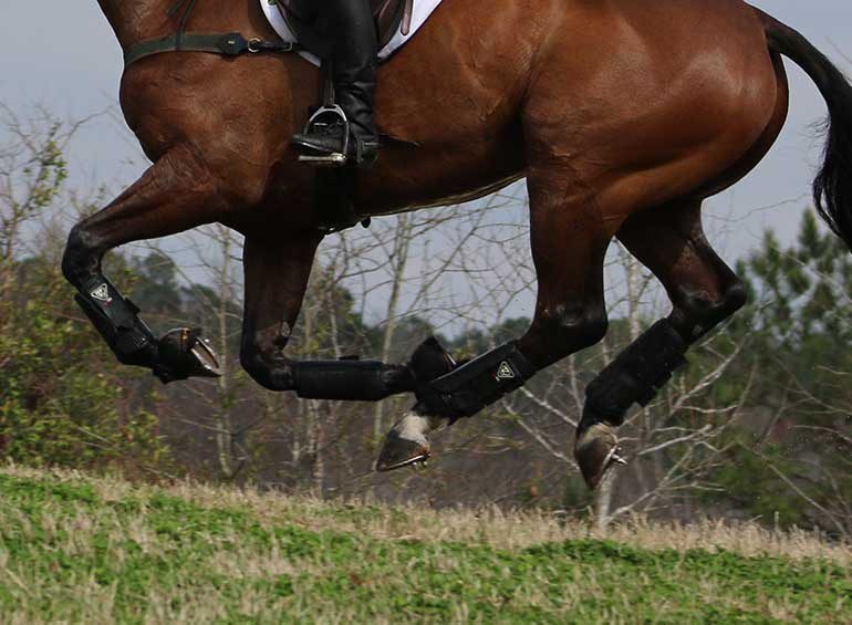 Six Ways to Become Your Farrier&#8217;s Favorite Customer