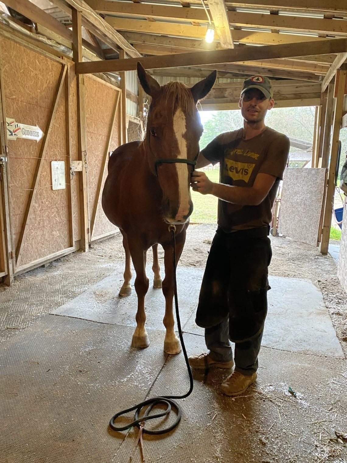 Six Ways to Become Your Farrier&#8217;s Favorite Customer