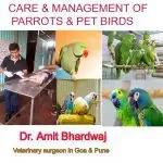 Sparrow parrot: maintenance, care, reproduction