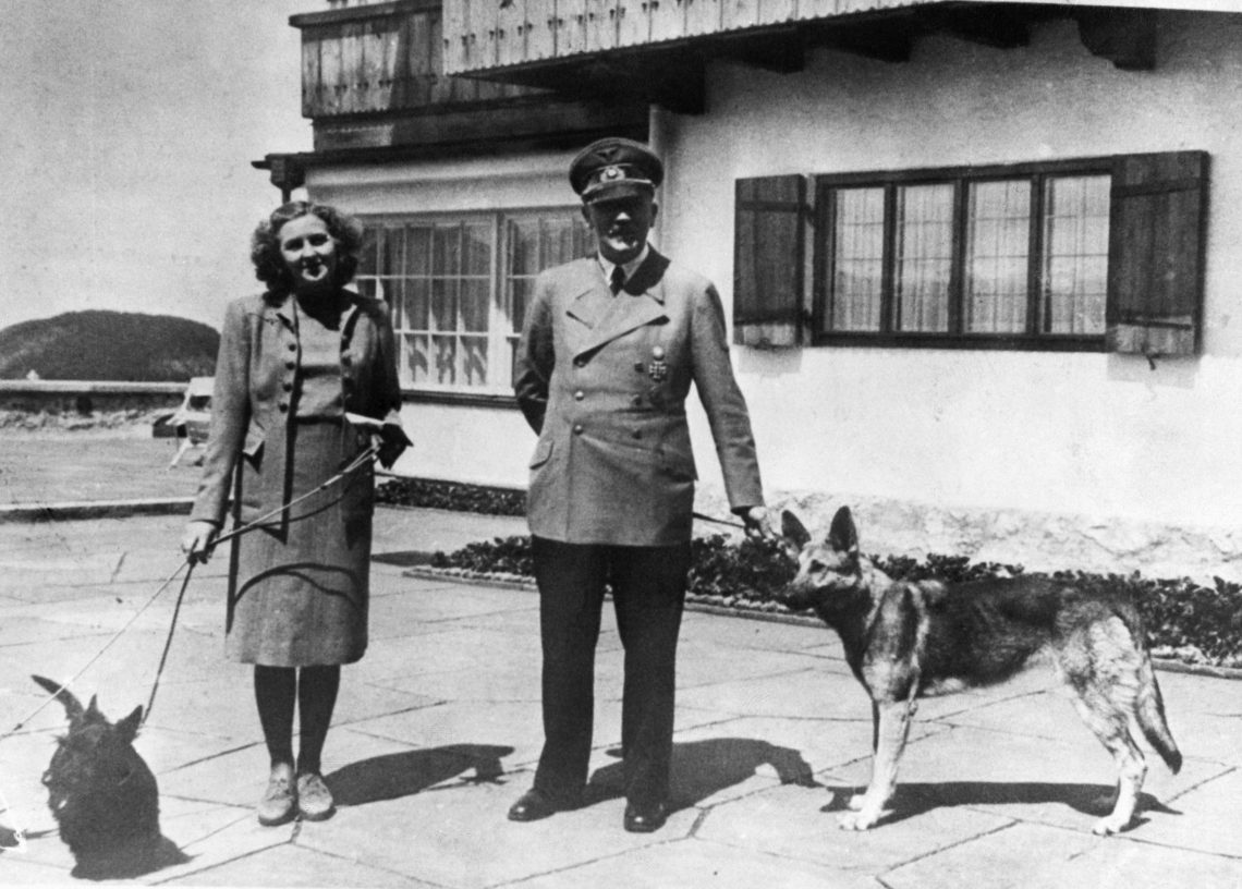 Stalin&#8217;s dog &#8211; photo and description
