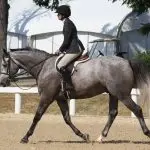 Stirrups: Finding the Right Length