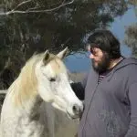 Study: Are horses calmer around nervous people?