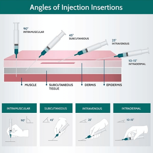 Subcutaneous and intramuscular injection for a dog: how to properly inject, subcutaneous and intramuscular injections