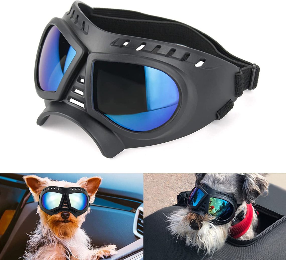 Sunglasses for dogs: do they need a pet