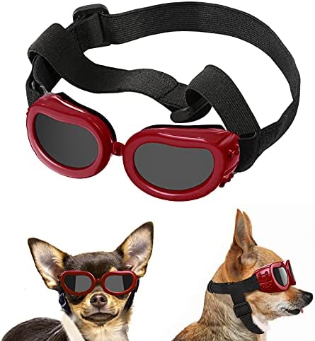 Sunglasses for dogs: protecting the eyes of a four-legged friend