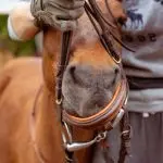 Take the fear by the bridle!