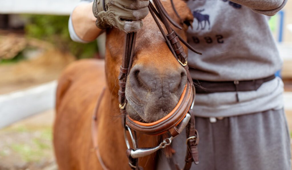 Take the fear by the bridle!