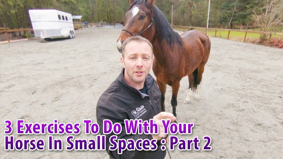 Teaching a horse to go through narrow spaces