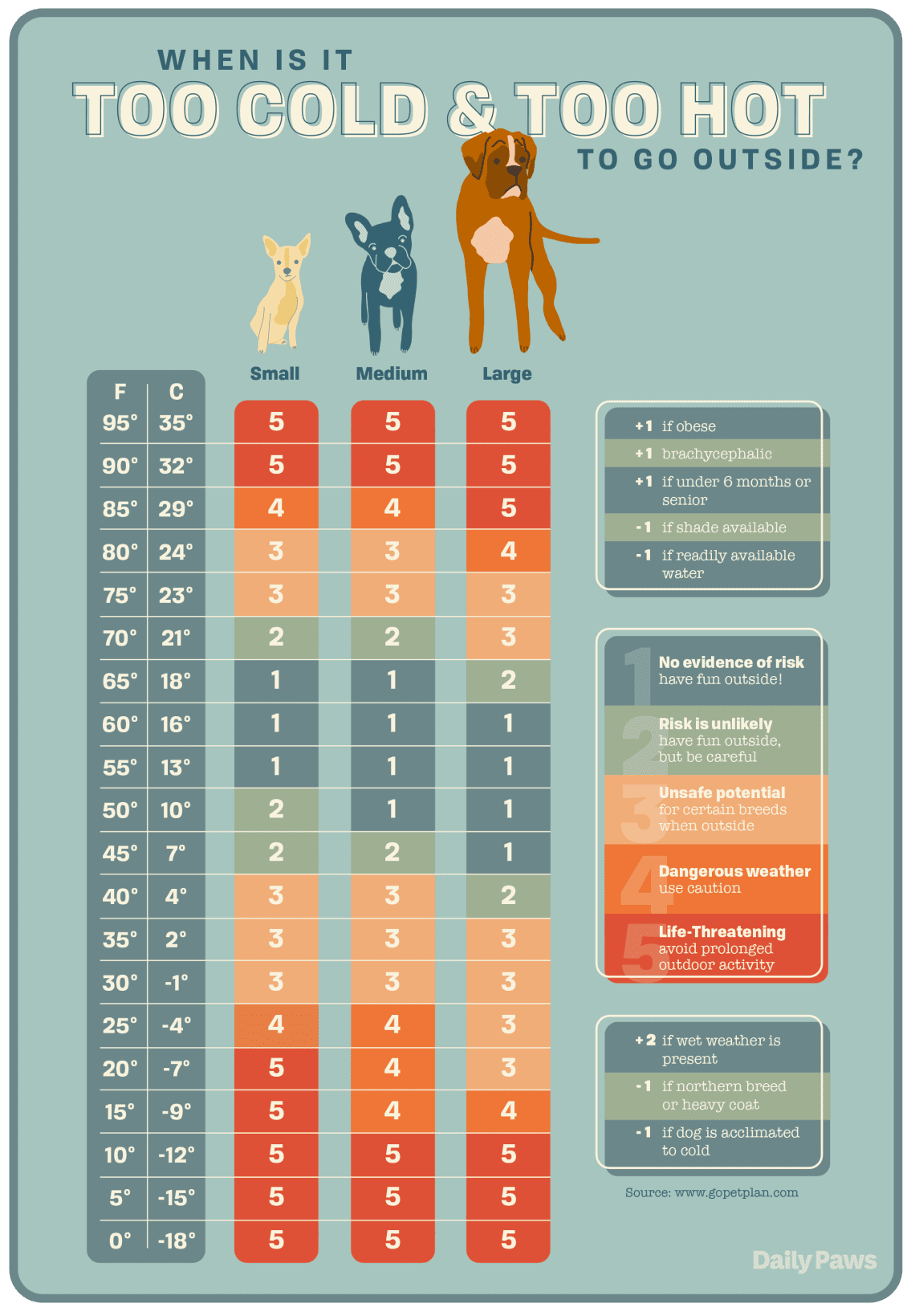Temperature in dogs: when to worry