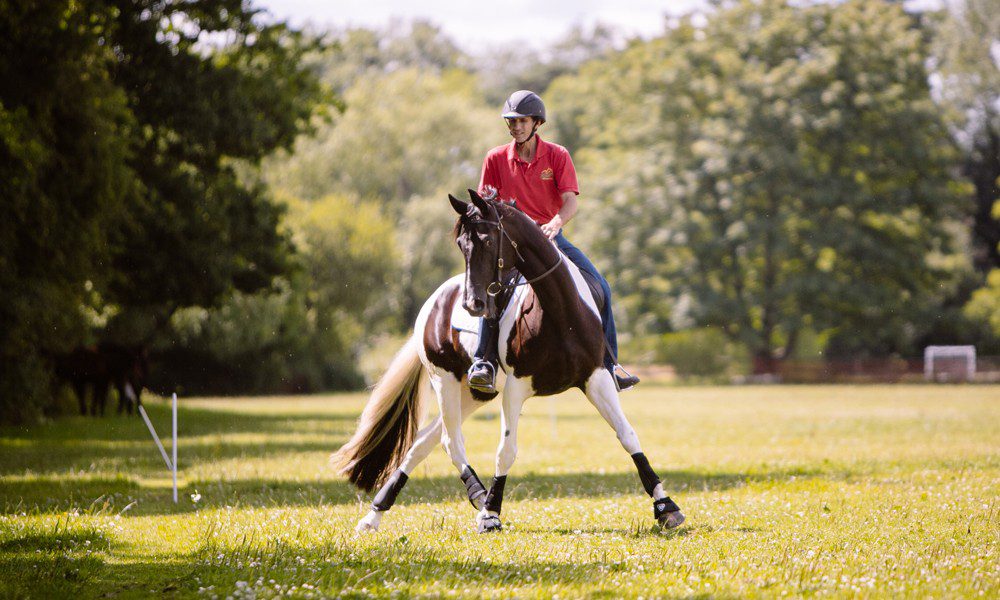 The best thing you can give a horse is CONFIDENCE