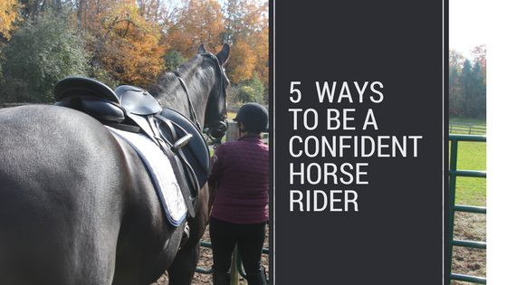 The best thing you can give a horse is CONFIDENCE