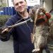 The biggest rat in the world: photos of giant and rare individuals