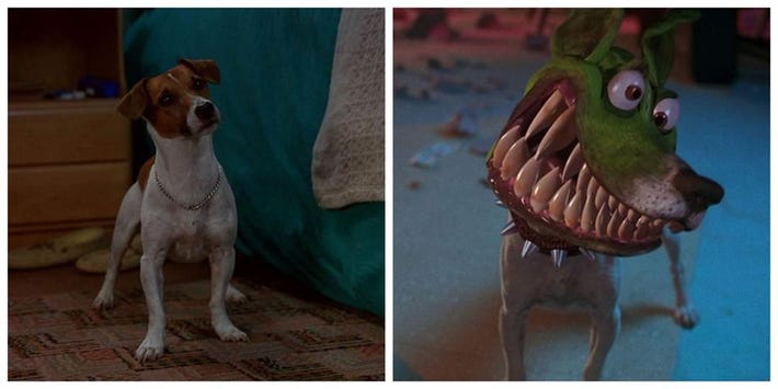 The breed of the dog from the movie &#8220;The Mask&#8221;: what is its appearance, character and care