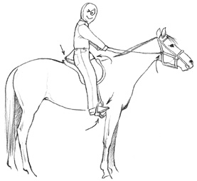 The Bucking Horse (chapter from Monty Roberts&#8217; Hand to Hand: Lessons I&#8217;ve Learned from My Life of Training Champion Horses)