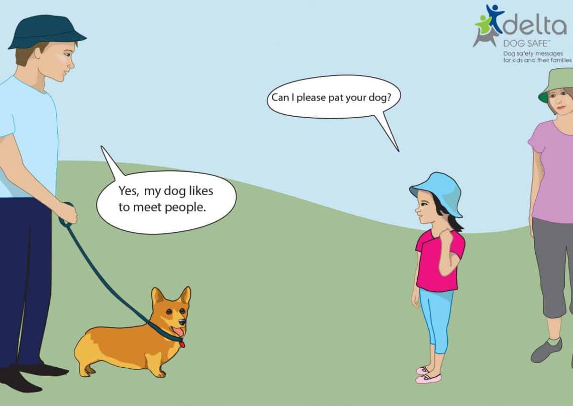 The child asks the dog: what to do