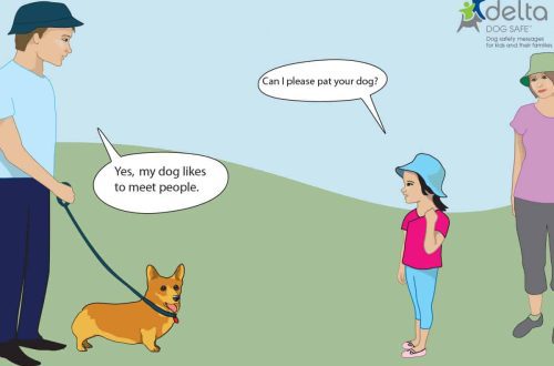The child asks the dog: what to do