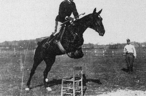The history of the fight against fear on the show jumping field