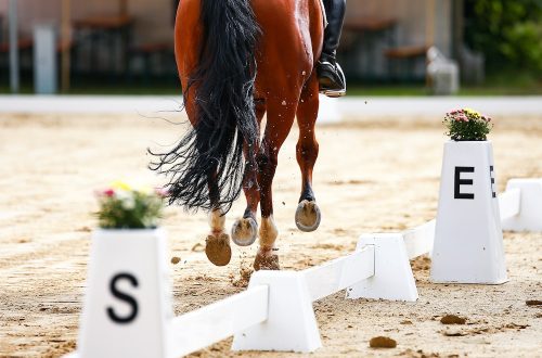 The horse constantly breaks from a trot into a canter. Why?