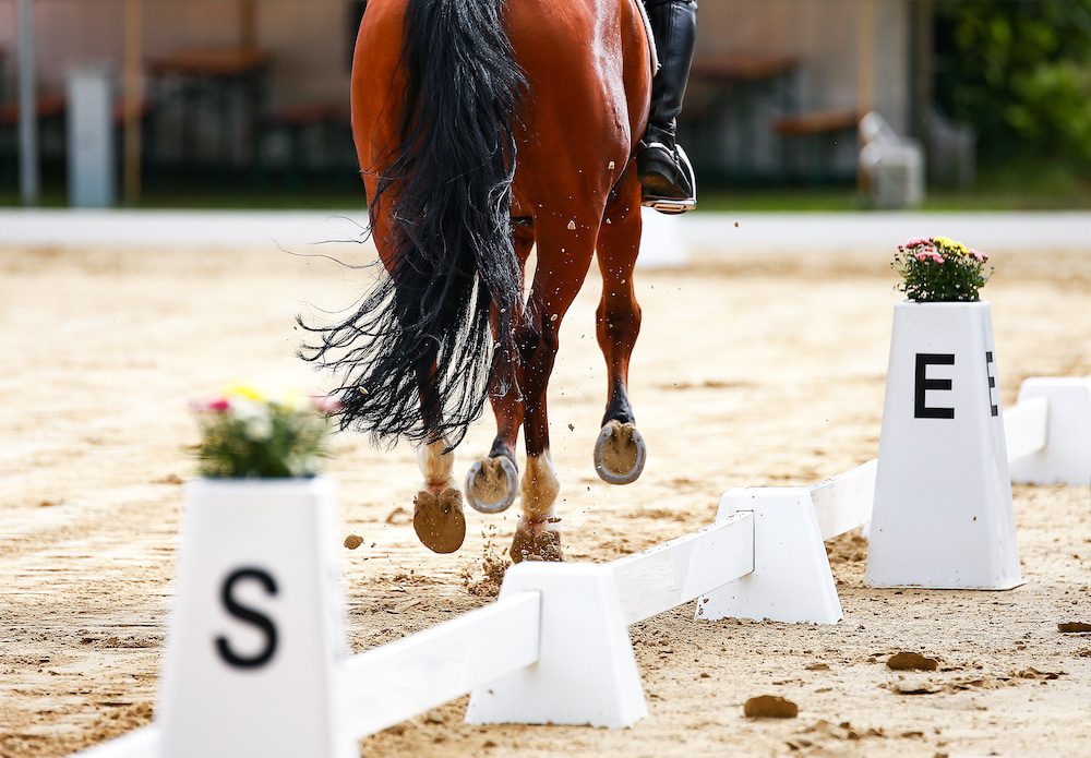 The horse constantly breaks from a trot into a canter. Why?