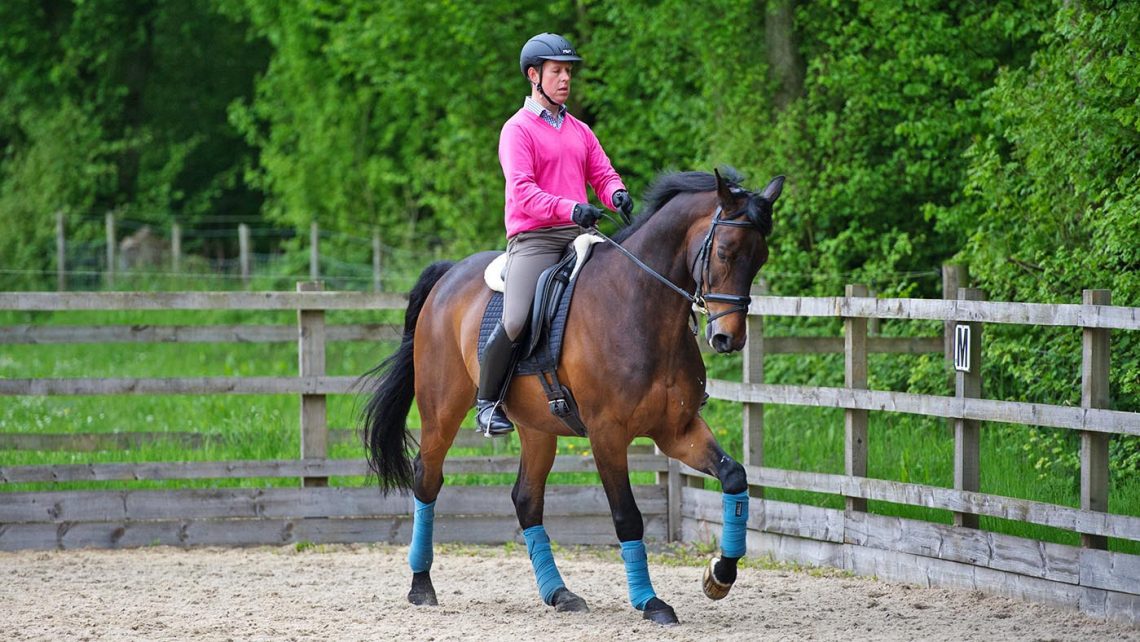 The Importance of Counter-Canter in Horse Training