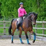 The Importance of Counter-Canter in Horse Training