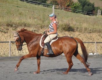 The importance of posture in riding