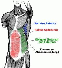 The importance of posture in riding