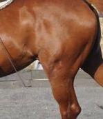 The importance of posture in riding