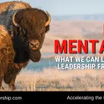 The movement of the herd – who is the leader and who is the follower?