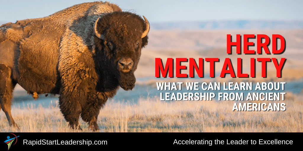 The movement of the herd &#8211; who is the leader and who is the follower?