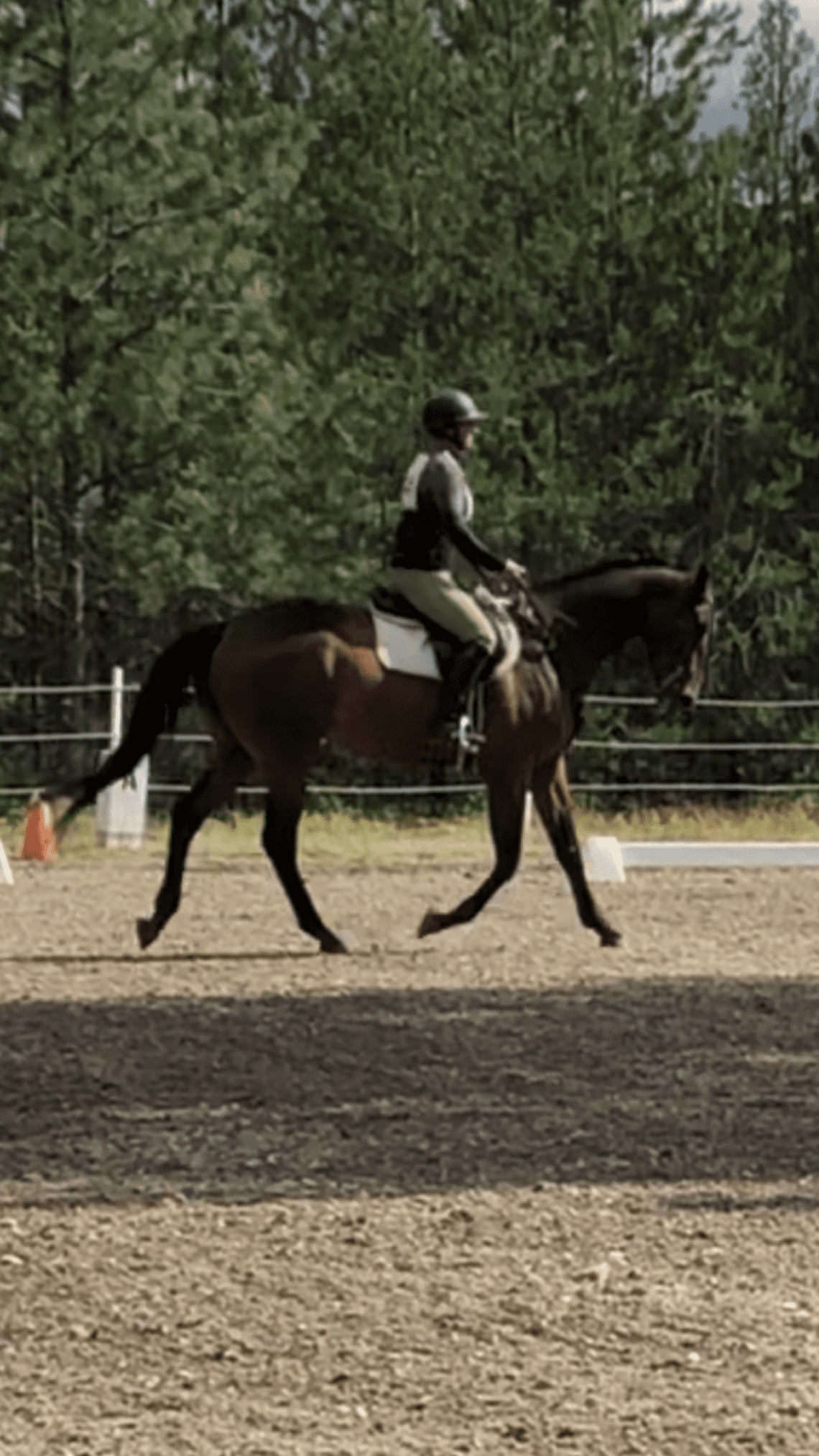 The subtleties of the posting trot &#8211; how to simplify the process of training the rider?