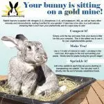 The use of cheap and effective fertilizer – rabbit droppings