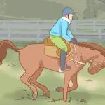 There are no ups without downs. What is the right way to fall off a horse?