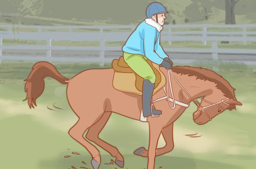 There are no ups without downs. What is the right way to fall off a horse?