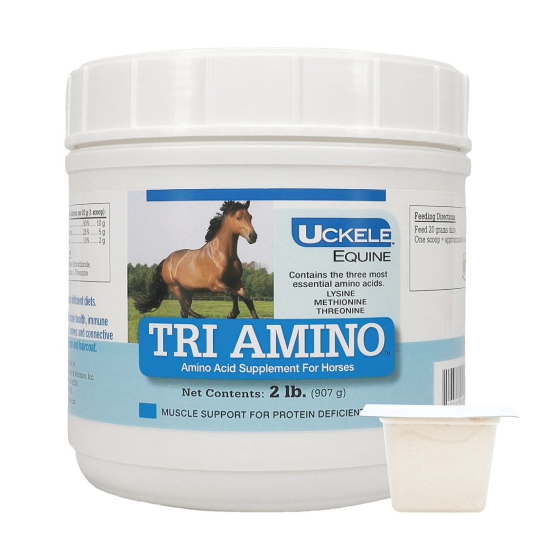 Three Essential Horse Diet Supplements