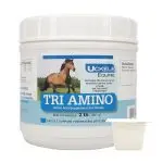 Three Essential Horse Diet Supplements