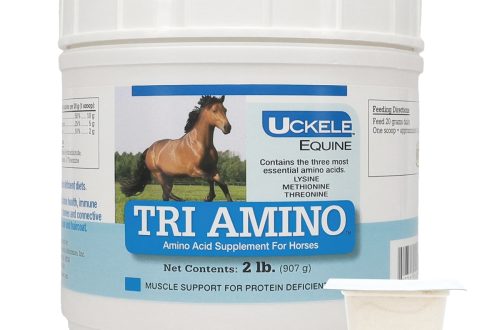 Three Essential Horse Diet Supplements