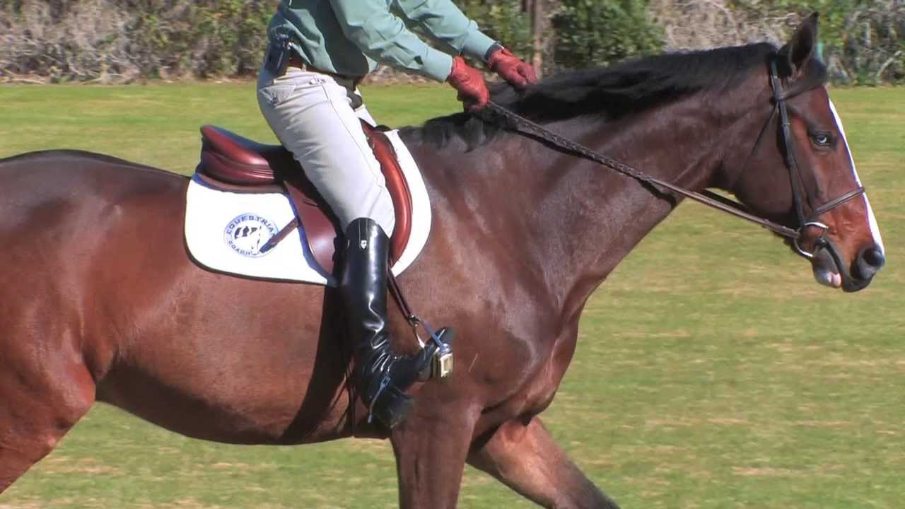 ​Three Exercises for Dressage Riders to Help Keep Your Heel Down