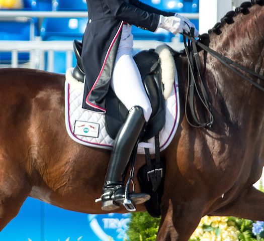 ​Three Exercises for Dressage Riders to Help Keep Your Heel Down