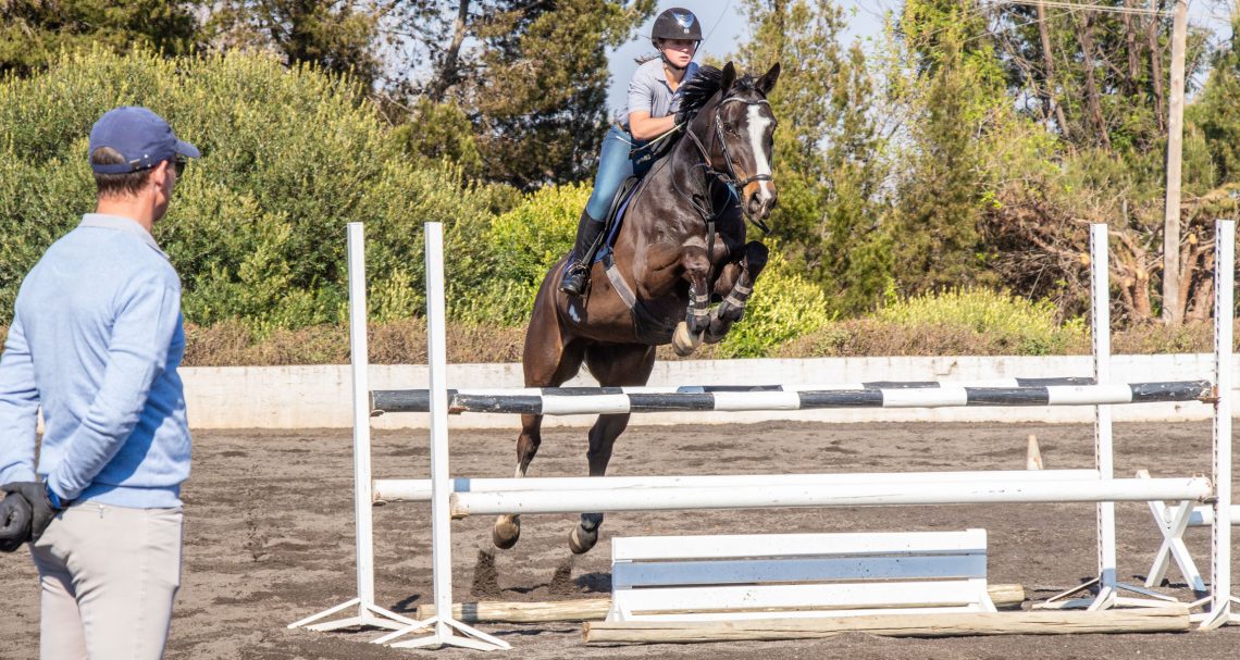 ​Three show jumping exercises for working in a small area