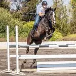 ​Three show jumping exercises for working in a small area