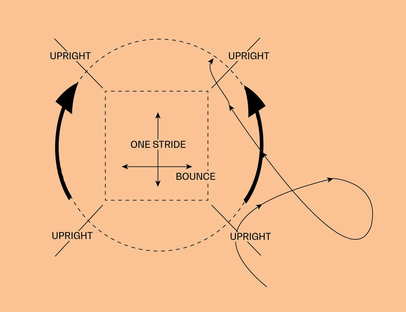 ​Three show jumping exercises for working in a small area