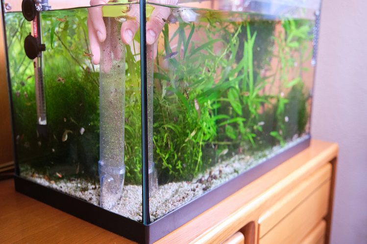 Three Super Aquarium Care Hacks